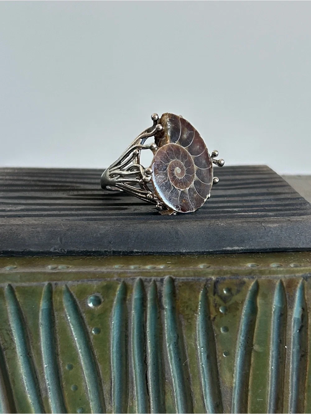 Handcrafted Brown Ammonite Shell Ring in Silver Setting